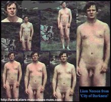 Liam Neeson 02.jpg