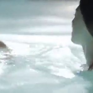 Explicit mainstream bisex  ThisVidcomHQ.mp4