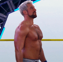 tumblr_99de3b4fa8dd112fb4990254e9e2a843_a3626a46_540.gif