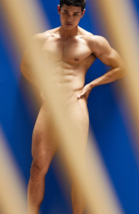 1742387518650.png