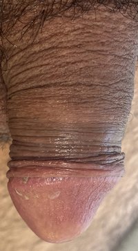 IMG_0490.jpeg
