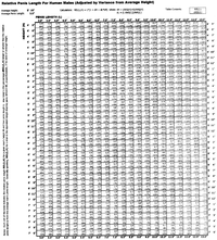 Penis Conversion Chart.gif