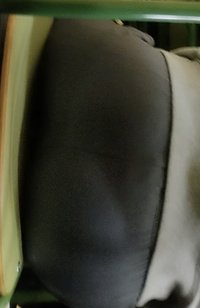 IMG_4552.jpeg