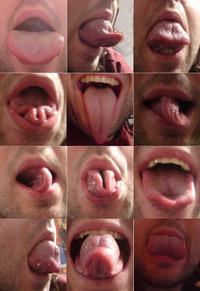 tongue s.jpg