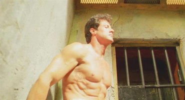 stallion.jpg