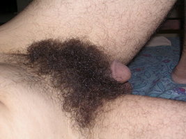 Hairy Pubes  008.jpg