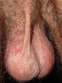 Hairy Pubes  014.jpg