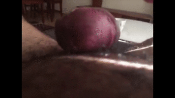 6.gif 6.gif