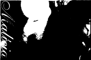 Screen Shot 2022-08-14 at 1.37.41 AM.png