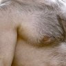 hairyjacques