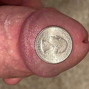 US quarter dollar on the head of my erect cock